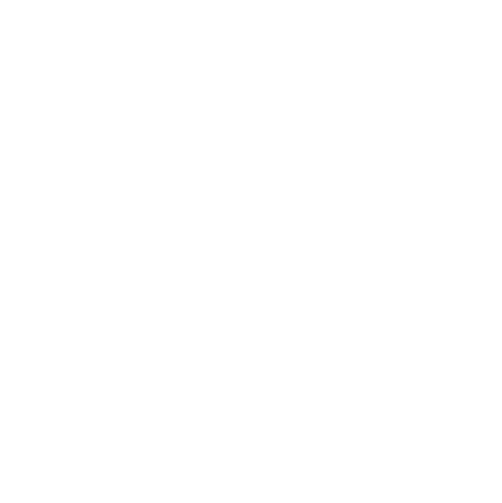 Gobierno de la ciudad2